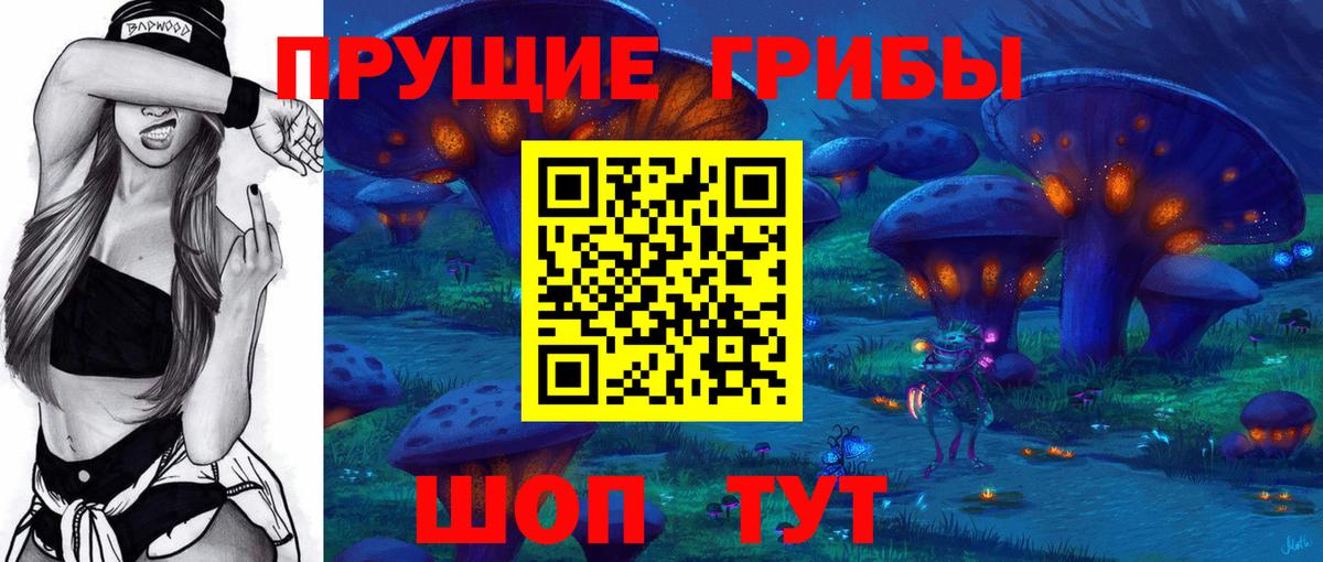 Псилоцибиновые грибы MAGIC MUSHROOMS Сосновый Бор