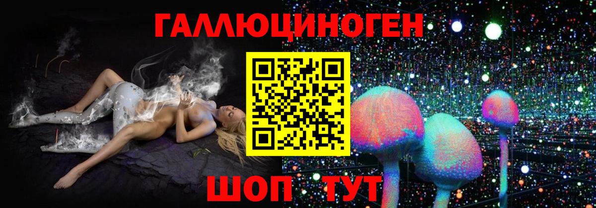 Сосновый Бор  магазин    Вход с VPN  Галлюциногенные грибы Psilocybine cubensis 